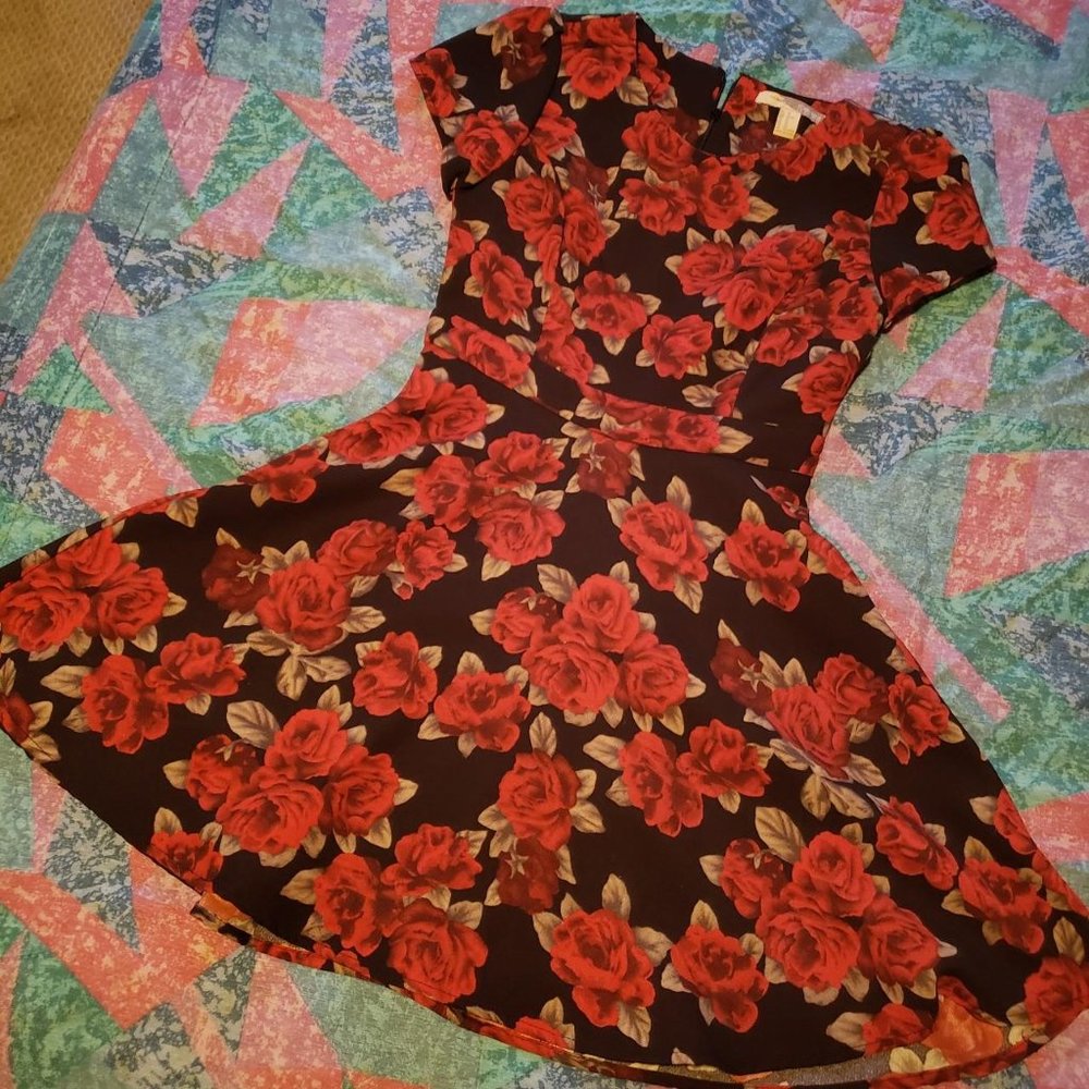 Rose Print A line Dress